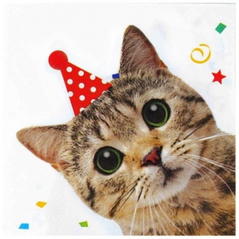 Набор салфеток "Котики фотографичные"