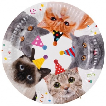 Набор тарелок "Котики фотографичные" 23см.