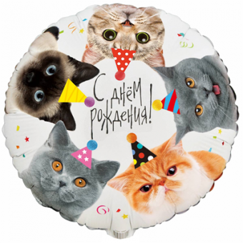 Шар фольгированный 18д. "Котики фотографичные"