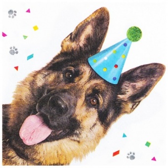 Набор салфеток "Собачки фотографичные" 33см.