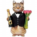 Шар "Кот с шампанским и тюльпанами" НОВИНКА